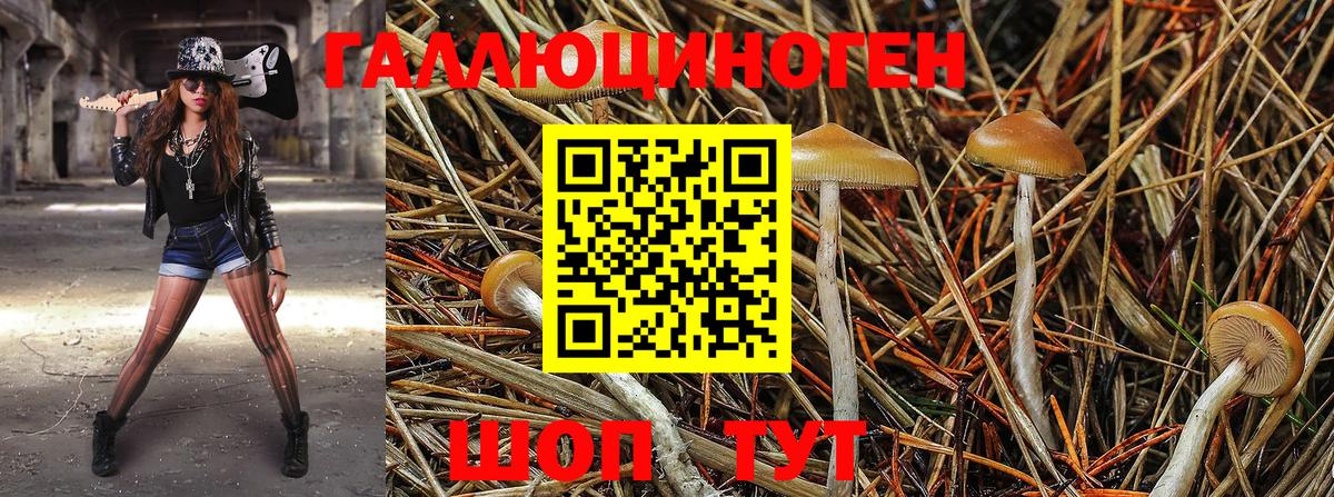 Галлюциногенные грибы GOLDEN TEACHER Кудымкар